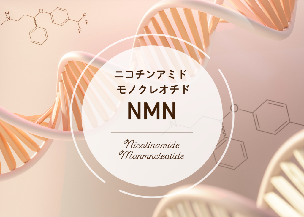 ニコチンアミドモノクレオチド
